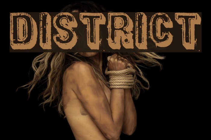 District Font examples