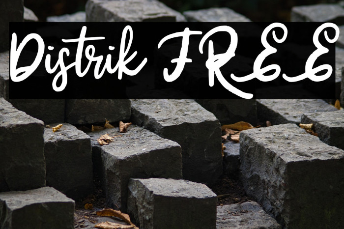 Distrik FREE Example 2