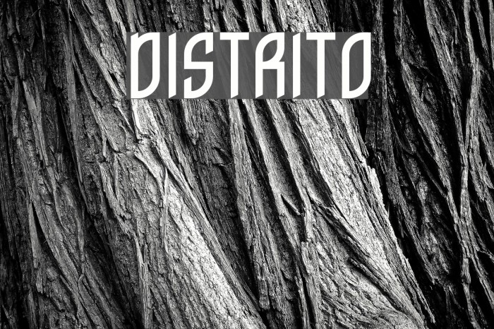 Distrito Font examples