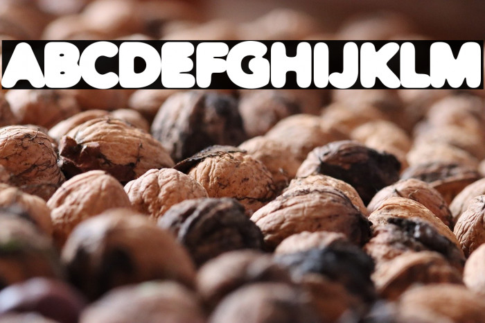 Distro Black Example 1