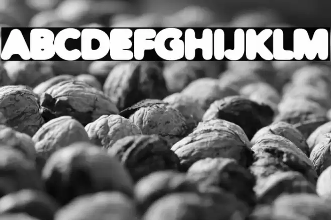 Distro Black Font examples