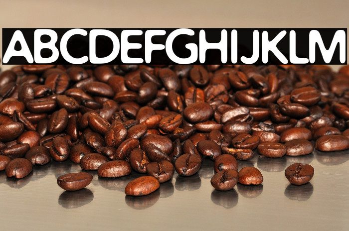 Distro Bold Example 1