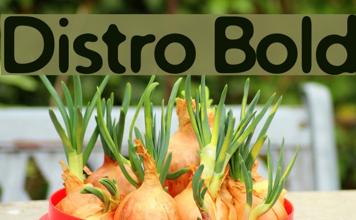 Distro Bold フォント examples