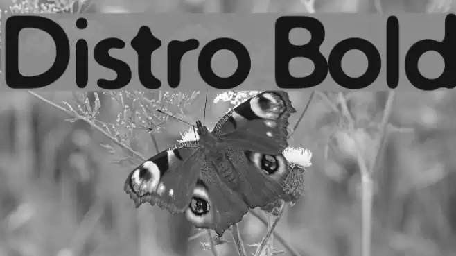 Distro Bold フォント examples