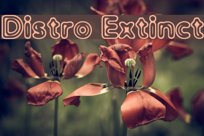 Distro Extinct Font examples
