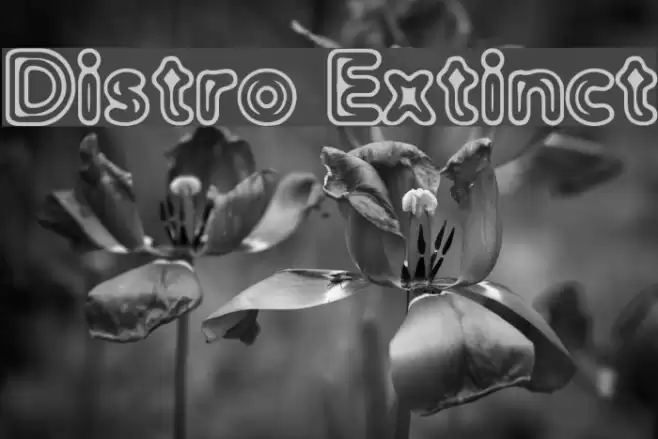 Distro Extinct フォント examples