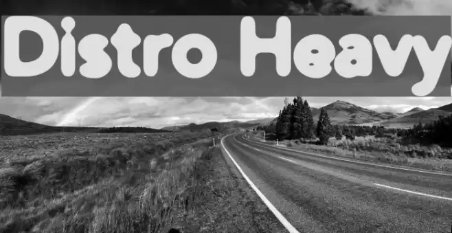 Distro Heavy Polices examples