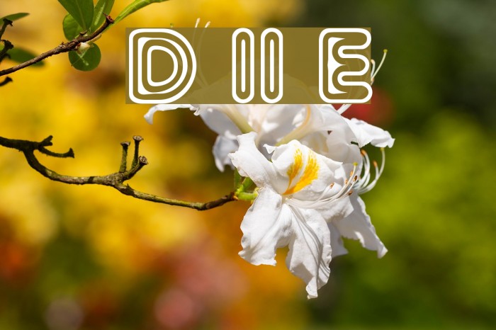 Distro II Extinct Font examples