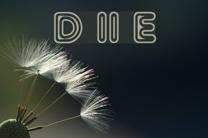 Distro II Extinct Font examples