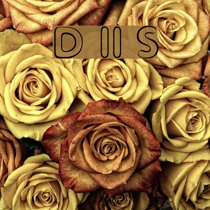 Distro II Squidgey Font examples