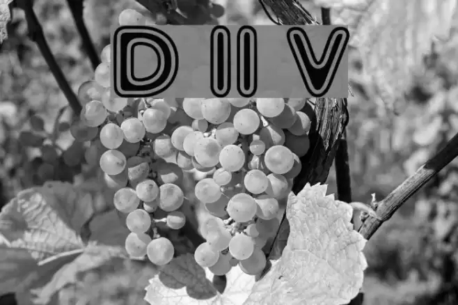 Distro II Vinyl Schriftart examples