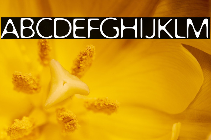 Distro Light Example 3