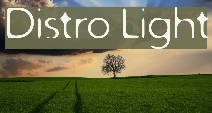 Distro Light フォント examples