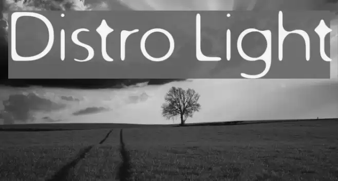 Distro Light フォント examples