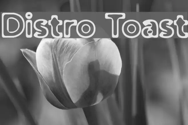 Distro Toast Schriftart examples