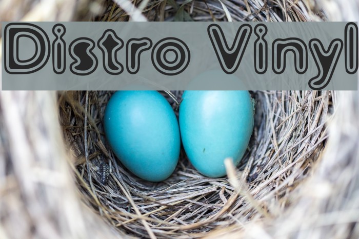 Distro Vinyl Font examples
