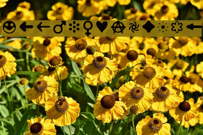 DistroII-Bats Example 1