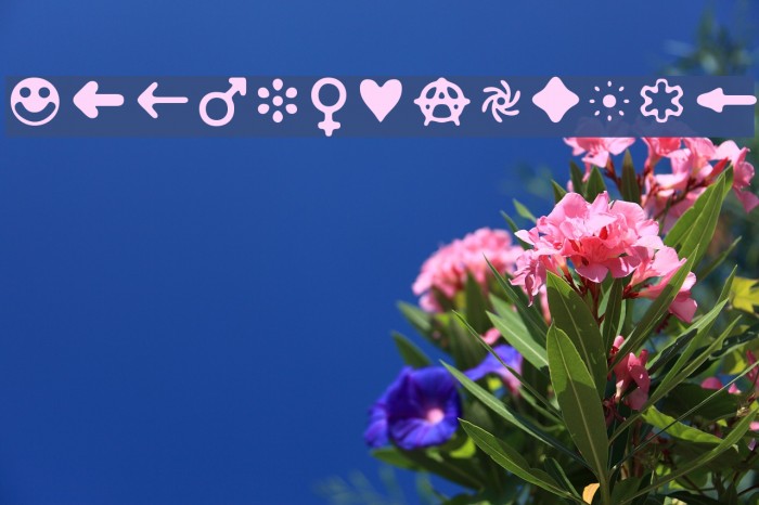 DistroII-Bats Example 3