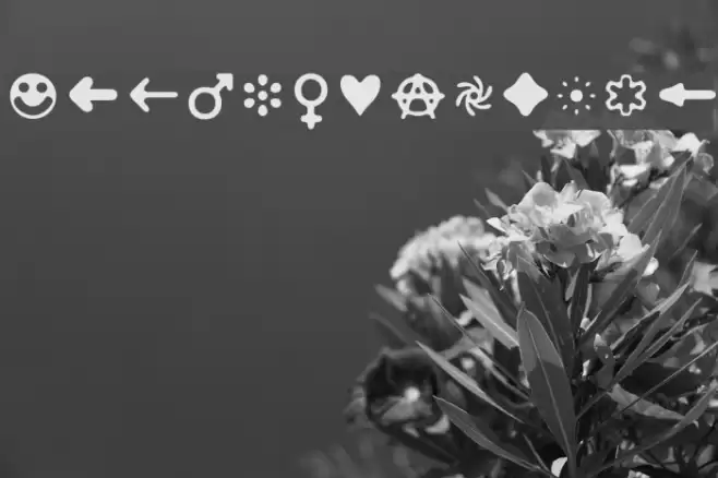 DistroII-Bats Font examples