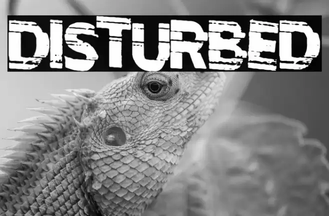 Disturbed Font examples