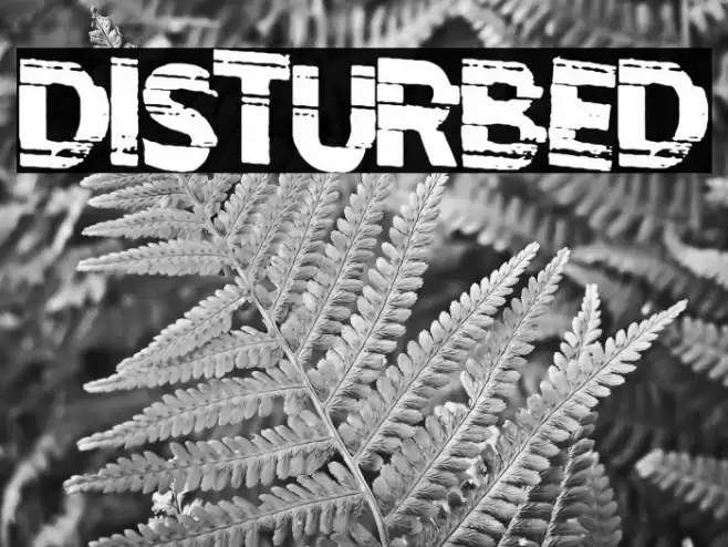 Disturbed Font examples