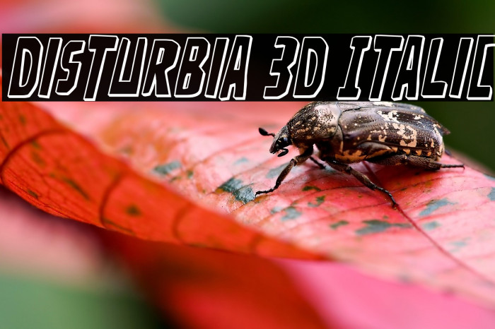 Disturbia 3D Italic Example 3