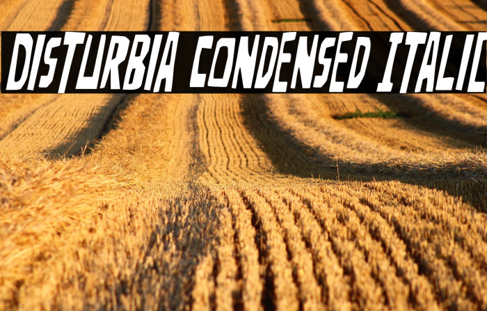 Disturbia Condensed Italic Example 2