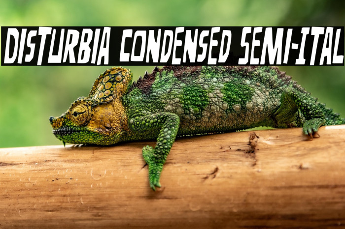 Disturbia Condensed Semi-Ital Example 3