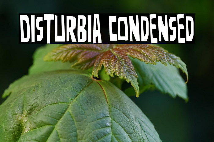 Disturbia Condensed Example 3