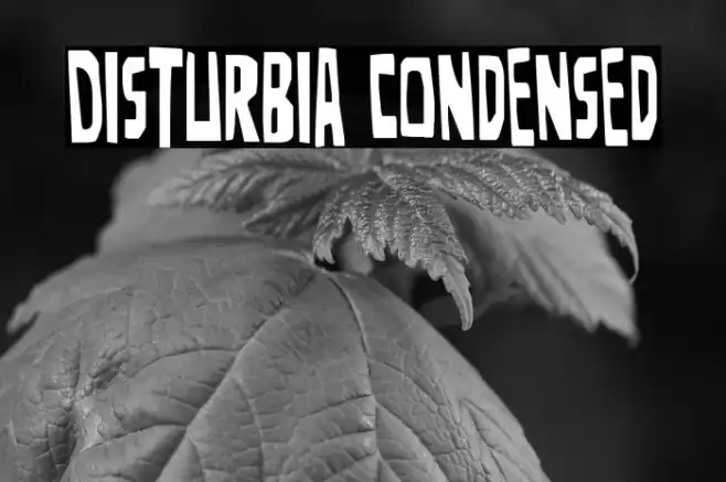 Disturbia Condensed Example 3