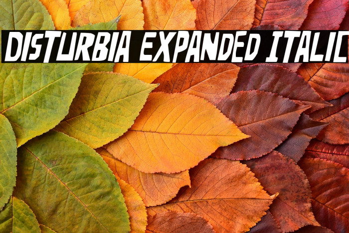 Disturbia Expanded Italic Example 1