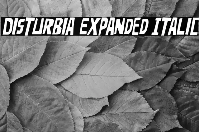 Disturbia Expanded Italic Example 1