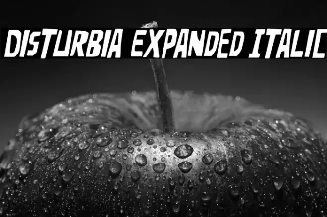 Disturbia Expanded Italic Example 2