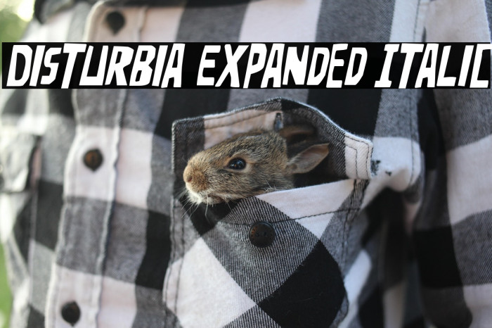 Disturbia Expanded Italic Example 3