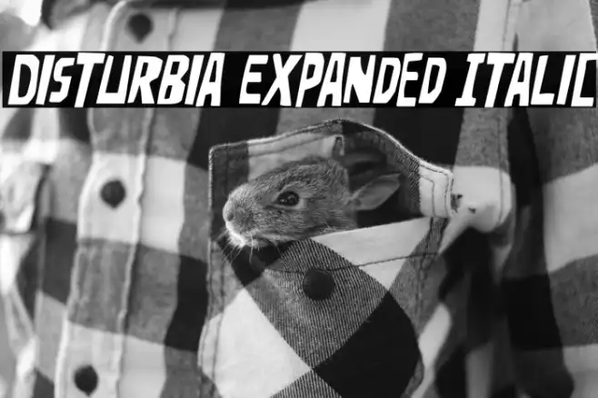 Disturbia Expanded Italic Example 3
