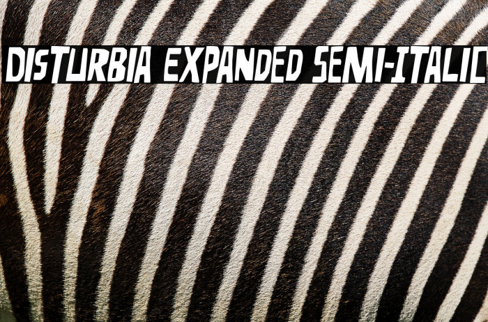 Disturbia Expanded Semi-Italic Example 1