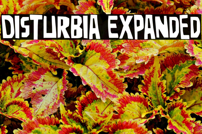 Disturbia Expanded Example 2