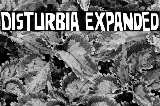 Disturbia Expanded Example 2