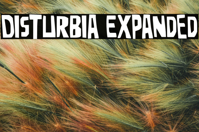 Disturbia Expanded Example 3