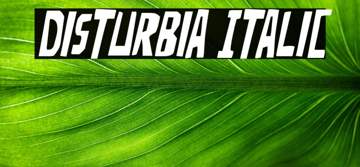 Disturbia Italic Example 1