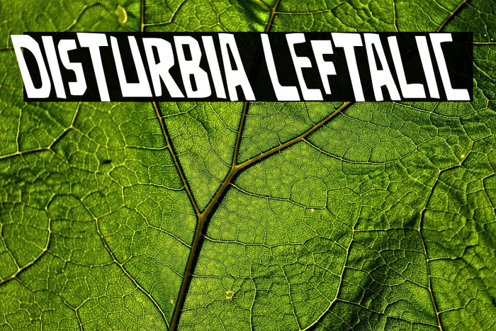 Disturbia Leftalic Example 1