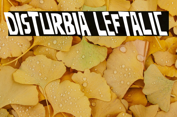 Disturbia Leftalic Example 2