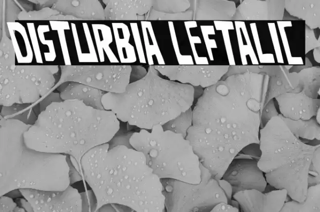 Disturbia Leftalic Font examples