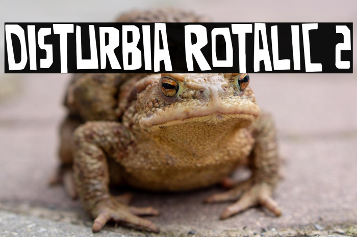 Disturbia Rotalic 2 Example 3