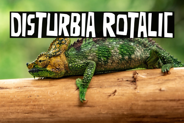 Disturbia Rotalic Example 1