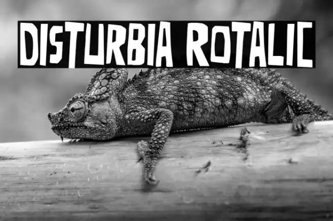 Disturbia Rotalic Example 1