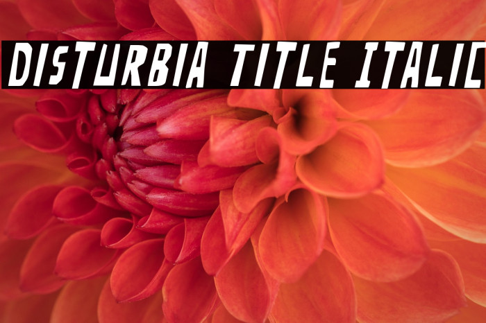 Disturbia Title Italic Example 2