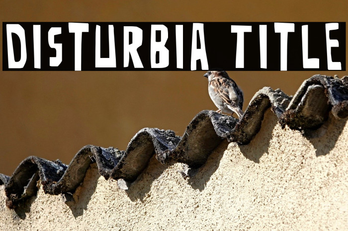 Disturbia Title Example 1