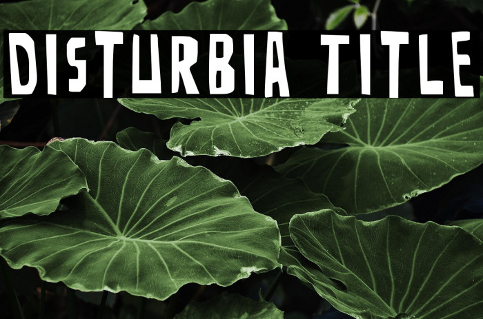 Disturbia Title Example 3