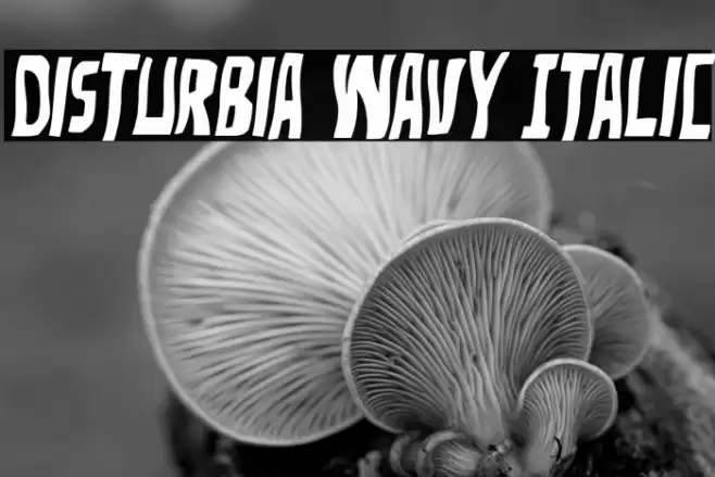 Disturbia Wavy Italic Font examples